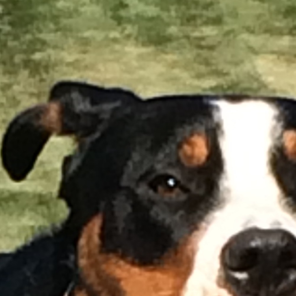 Meet your Posher, Elaine